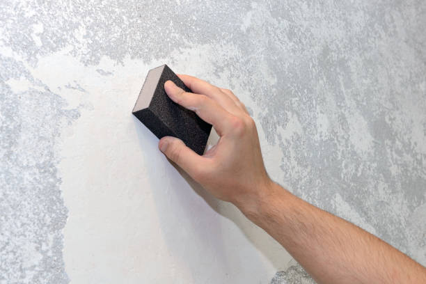 Best Emergency Mold Remediation  in Fair Haven, NY