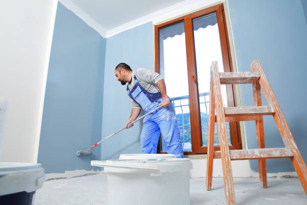 Best Mold Documentation for Insurance Claims  in Fair Haven, NY