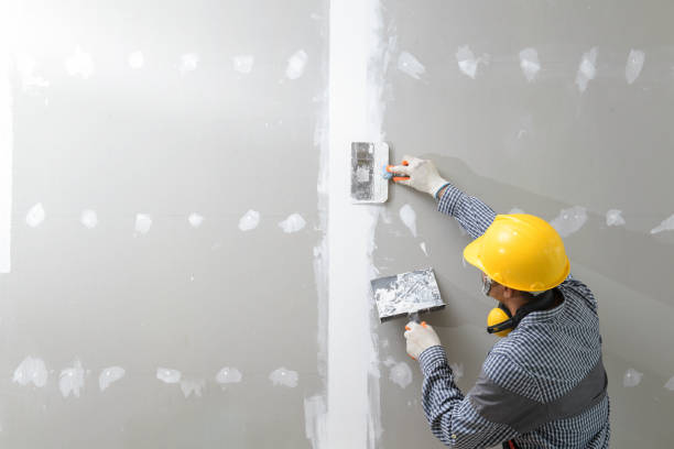 Best Post-Construction Mold Inspection  in Fair Haven, NY