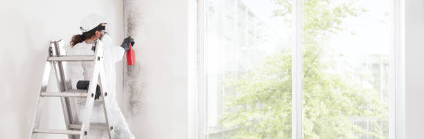 Best Indoor Air Quality Assessment  in Fair Haven, NY