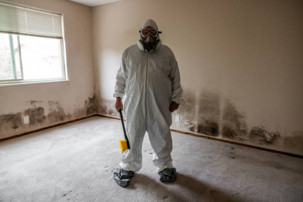 Best Mold Remediation for Healthcare Facilities  in Fair Haven, NY