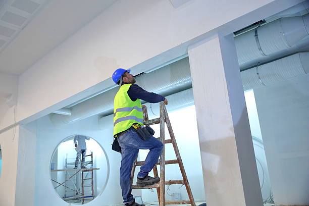 Best Asbestos and Lead Testing During Mold Inspection  in Fair Haven, NY